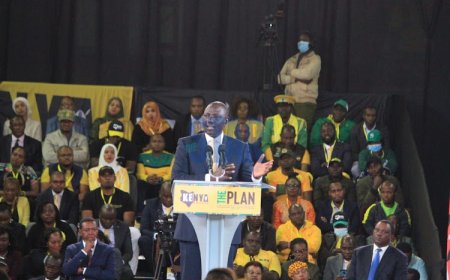 How 'Bottom-Up Economic Model' is affecting ordinary Kenyans