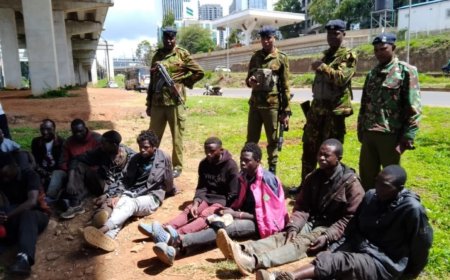 Suspected gang members robbing  motorists on Museum Hill Road were arrested.