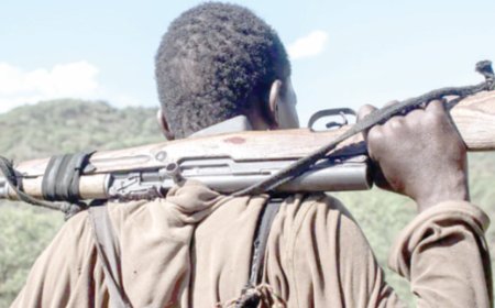 Bandits target locals working on their farms near Baringo, shooting one dead and injuring a GSU officer.
