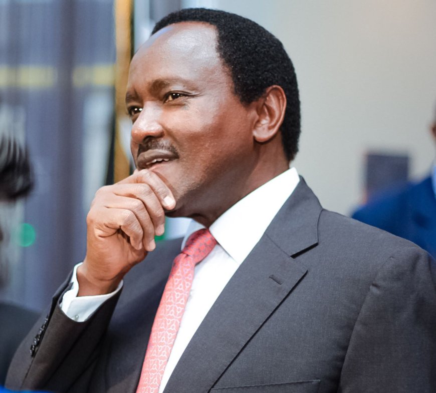 Kalonzo Musyoka: There is no room for handshake government in NADCO report.