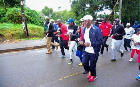 NOREB: Securing a Sustainable Future for Athletes