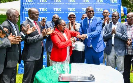 Nandi County Thriving Tea Ecosystem