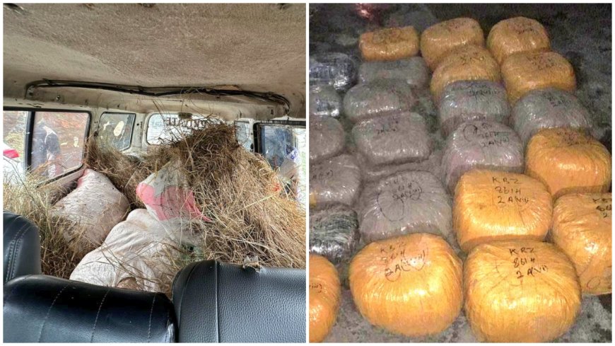 Detectives nab 138kg of marijuana disguised as animal feed in Nakuru.