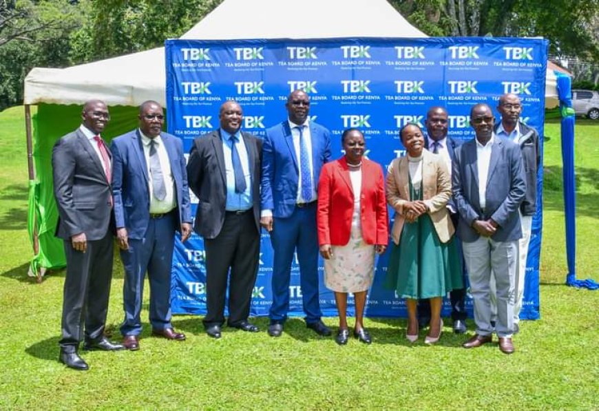 Nandi County Thriving Tea Ecosystem