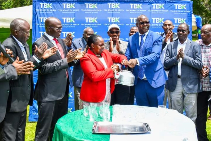 Nandi County Thriving Tea Ecosystem