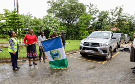 Farmers to Benefit From Mango Export Quality Boost