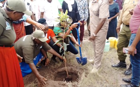 National Day sees Planting of 4000 Trees Makueni