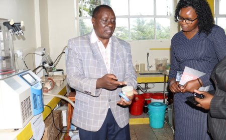 Revolutionizing Poultry Health: Egerton University's Breakthrough Innovation with Aloe Secundiflora
