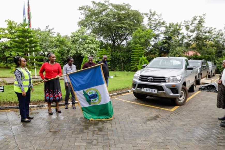 Farmers to Benefit From Mango Export Quality Boost