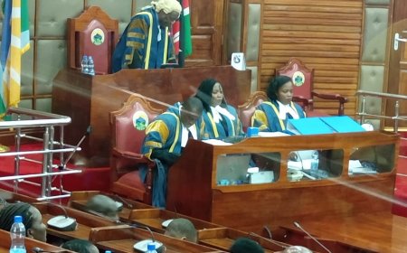 Meru Governor Kawira Mwangaza Impeached