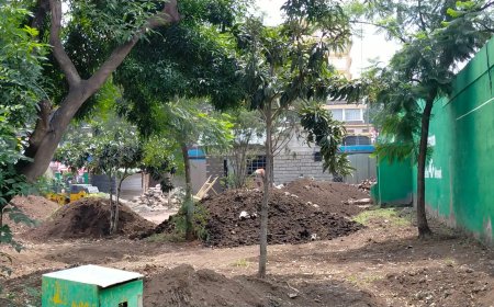 Nakuru County Government Withdraws Lions Garden from CBD Green Spaces List