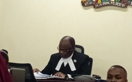 Security Guard Found Guilty in Murder of Activist Ekaru