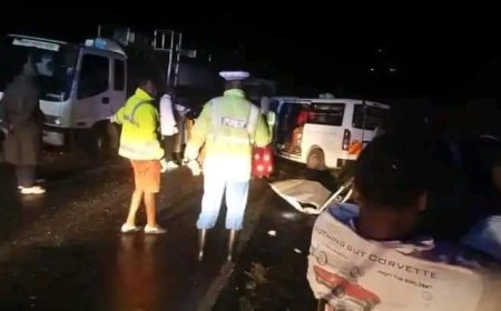 Nithi Bridge Crash: 12 among them two kids perish