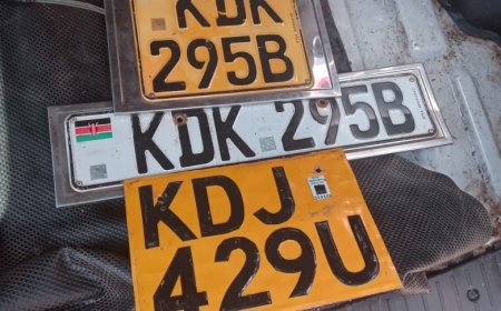 Criminal Suspects Flee from Speeding Probox Elgeyo-Marakwet-Baringo border