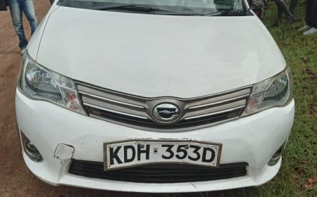 Three Criminal Suspects Arrested, Beaten in Baringo