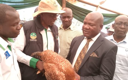 Kakamega County Prioritizes Food Security