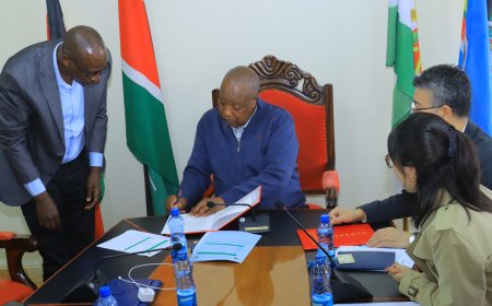 Nyamira Tea Farmers Set to Reap Big after Signing Partnership Deal with Chinese