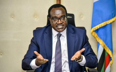 Government will Address University Staff Salary Issues- CS Ogamba