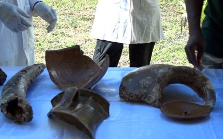 Kenyan Universities Encouraged to Offer Underwater Archaeology Courses