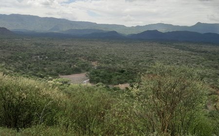 Egerton University's Over 1000 Acres of Land Under Siege