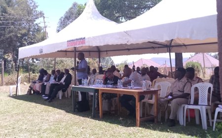 KSB to Regulate  Importation of Sugar to Safeguard Local Production