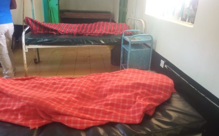 Horror Killing at Angata Barrikoi: Journalist Experience