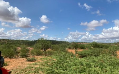 Tragic Attack Burbor, Mandera
