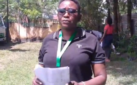 Climate Change: Embrace Green Environment For a Better Kenya, says Environmentalist