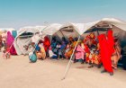 World Refugee Day: A Global Response to Displacement