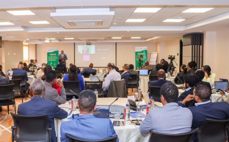 Empowering Diaspora Investments: Insights from Nairobi Workshop