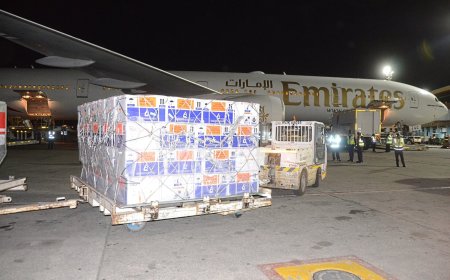 Kenya Strengthens TB Defense for Newborns with Vital Vaccine Shipment