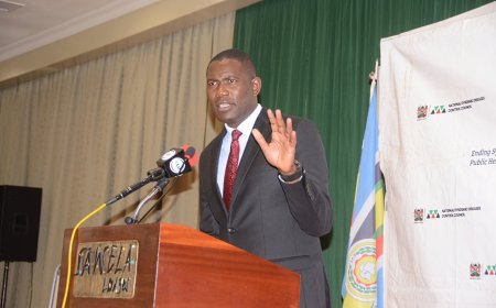 Counties Urged to Adopt Robust HIV Strategies