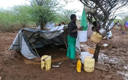 Banditry: Baringo Young Mother Forced to Shelter in one Makeshift Structure with Father-in-law and Mother-in-Law