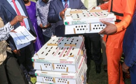 Kakamega: Governor Barasa Commissions SH17M Hatchery Project to Boost Youth Agribusiness