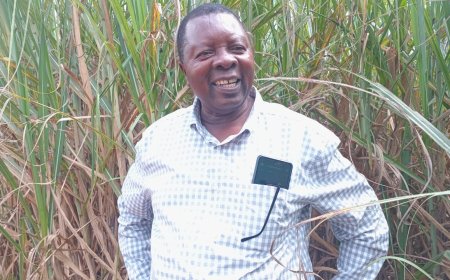 Race for Upper Western Kenya Sugar Board Directorship Hots-UP