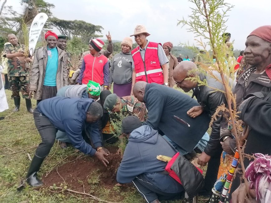 Chief Conservator Leads Tree Planting Baringo