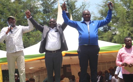 Malava UDA Nomination Losers Concede Defeat, Vow to Support Gov’t