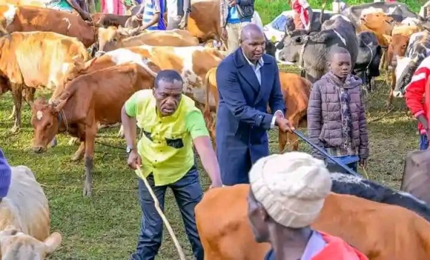 Smiles as UDA Brigade Help Revamp Cattle Dip that Stalled for 27 years in East Kabras