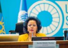 Nardos Bekele-Thomas appointed to Global Centre on Adaptation Supervisory