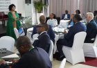 AUDA-NEPAD launches Africa Green Transition PPP Fund