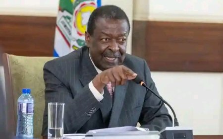 OPINION: MULEMBE NATION: LET’S STOP UNJUSTLY BLAMING MUSALIA MUDAVADI