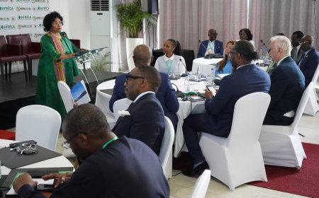 AUDA-NEPAD launches Africa Green Transition PPP Fund