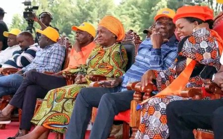 Stop Funding Opposition to Scuttle Gov’t Uhuru Told