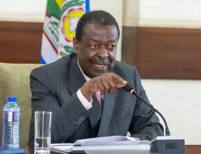 OPINION: MULEMBE NATION: LET’S STOP UNJUSTLY BLAMING MUSALIA MUDAVADI