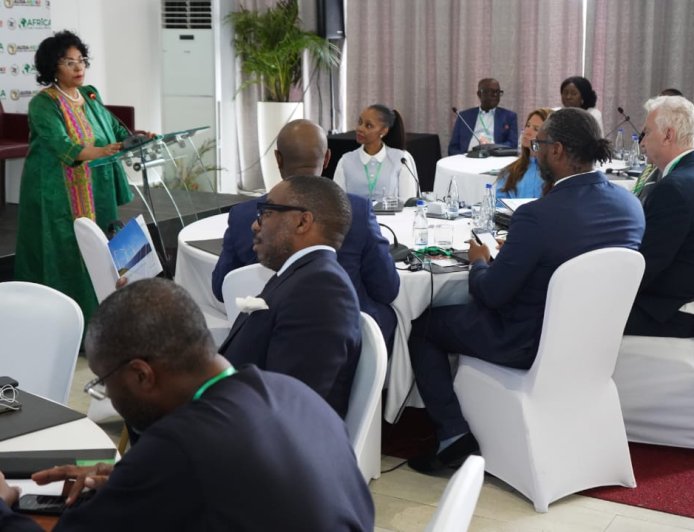 AUDA-NEPAD launches Africa Green Transition PPP Fund