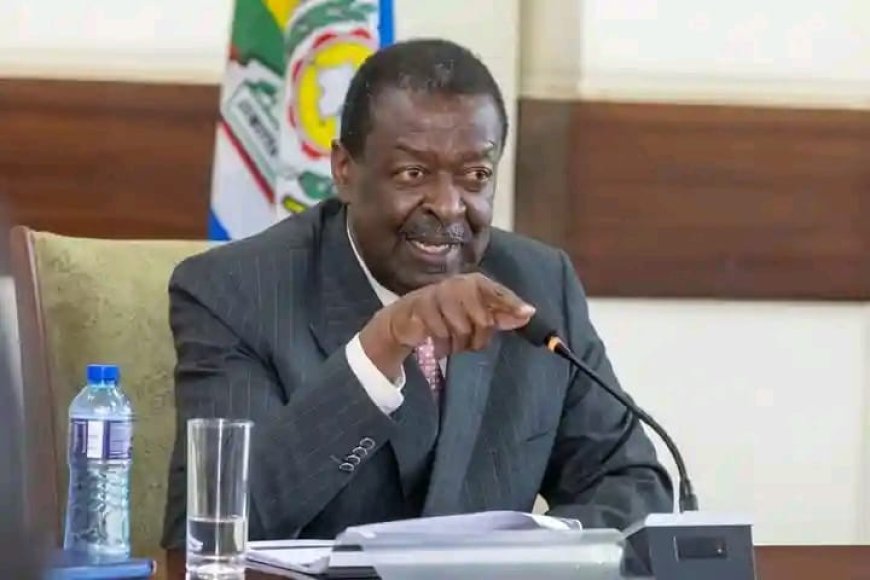 OPINION: MULEMBE NATION: LET’S STOP UNJUSTLY BLAMING MUSALIA MUDAVADI