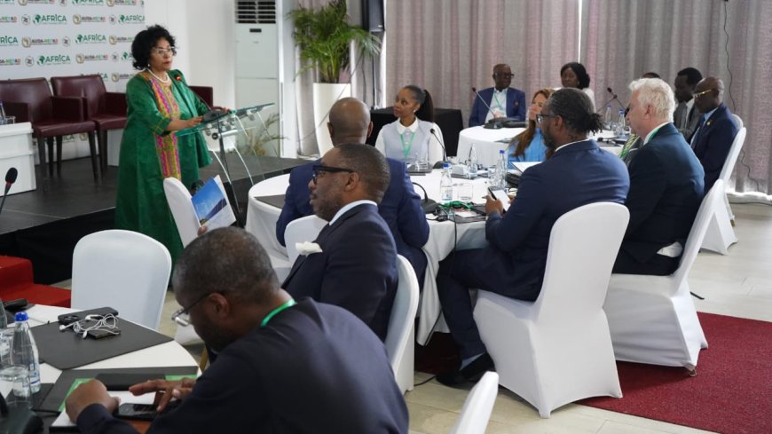 AUDA-NEPAD launches Africa Green Transition PPP Fund