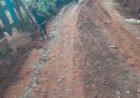 Rogue Bees Attack Injure Children, Grazing Goats in Kabarnet