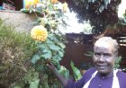 Meet Alice Emmetto, Resourceful Landscaper From Eldama-Ravine