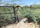Ambitious Baringo Cattle Dip That Never Was